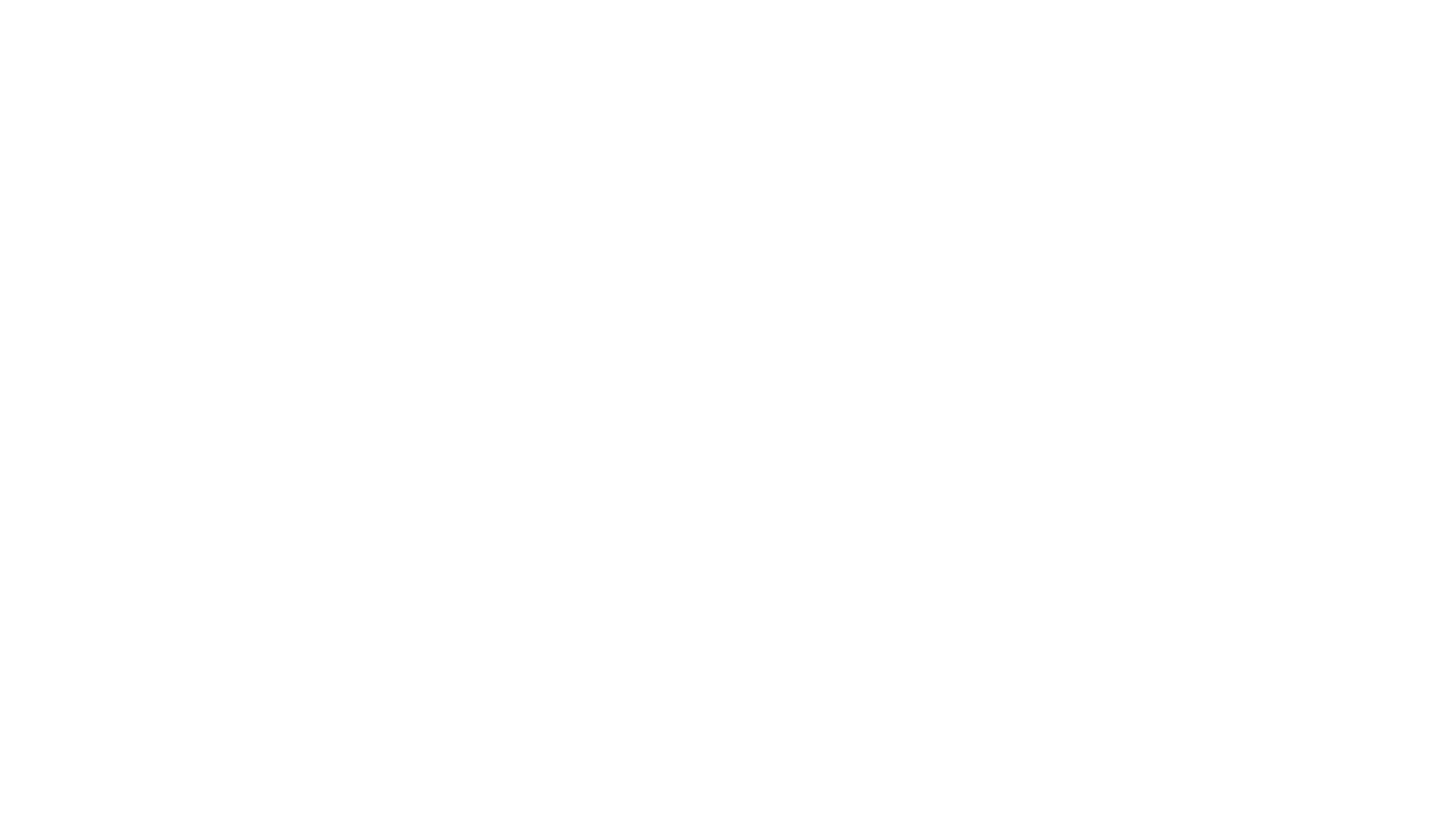 Delta Air Lines