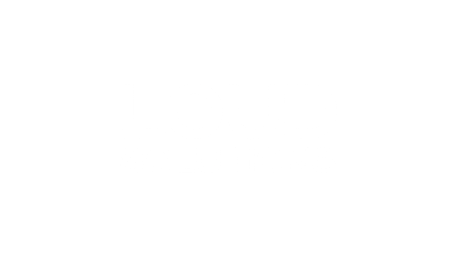 Loud Solutions